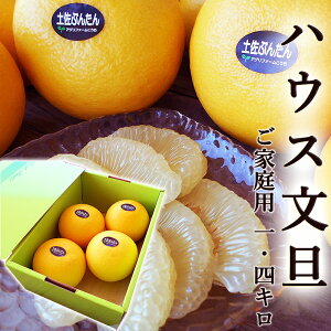 U 1.4kg ƒp ϔ 4`5ʓ nEXԂ񂽂  mY ZT[I Y Ԃ񂽂 x Mtg v[g t[c ݂ Ε