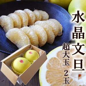 U 2ʃZbg  ZT[I ƒp 500g/ mY U 傤Ԃ񂽂 Ԃ񂽂 ӔM }[}[h NX^ x _x Mtg v[g t[c 