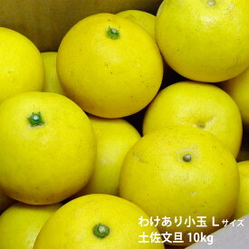 100 Epic Best文旦 ぼん たん すべての美しい花の画像