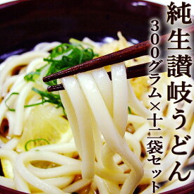 純生 讃岐うどん 300g×12袋セット つゆ付き 送料無料 香川産 本場 udon 生うどん コシ もちもち さぬきうどん かけ ぶっかけ 釜揚げ 釜玉 ざる 冷やし しっぽく きつね 月見 天ぷら カレー 四国 ご当地 取り寄せ ギフト