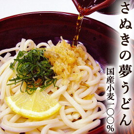 さぬきの夢うどん 国産小麦100％ 300g×10袋セット 送料無料 讃岐うどん 半生うどん 香川産 本場 udon コシ もちもち さぬきうどん かけ ぶっかけ 釜揚げ 釜玉 ざる 冷やし しっぽく きつね 月見 天ぷら カレー 四国 ご当地 取り寄せ ギフト