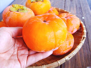 Y` 낤 mY GiN ܂Ƃ߂1 7kgitlj