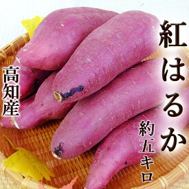 楽天市場 焼き芋 用 さつまいもの通販