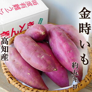  5kg ܂ M`LTCY  y mY Y Ƃ n14 Ï H@ Z[X yg Ă VՂ V  w Rn Rn