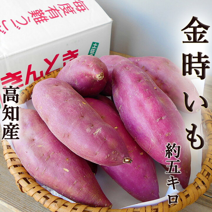 楽天市場】金時いも 約5kg さつまいも M〜Lサイズ 送料無料 土佐金時 