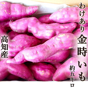 킯  5kg ܂  TCY܂ `̂悭Ȃ킯i y mY Y Ƃ n14 Ï H@ Z[X yg Ă VՂ V 