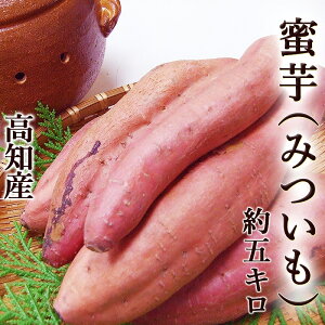  ݂ [i 5kg  Ăp M`LTCY mY Ĉp x Â lbg ܂ Tc}C [ ~GXC[g Ă ₫ X}Xe ͂Ȃ܂