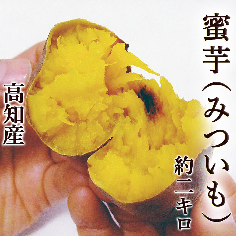 楽天市場】蜜芋 みついも 安納芋品種 約2kg 送料無料 焼き芋専用 M～L