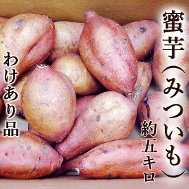 わけあり 蜜芋 みついも 安納芋品種 約5kg 送料無料 焼き芋専用 M～Lサイズ 高知産 焼芋専用 高糖度 甘い ネットリ さつまいも サツマイモ 安納芋 ミエルスイート 焼き芋 やきいも スマステ はなまる