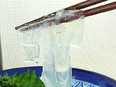 のれそれ ノレソレ 国産 100g 3個セット 穴子 あなごの稚魚 土佐の酒肴の大番頭 Cool Delivery Room 欲しい に出会える