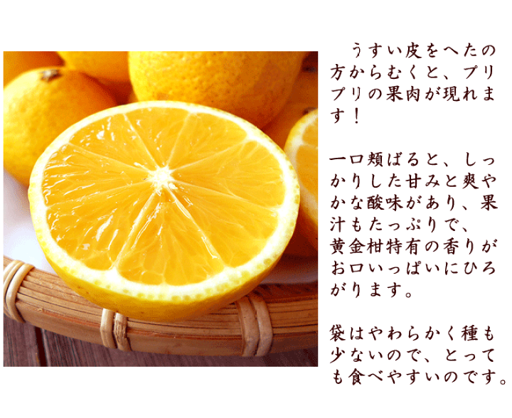 太平洋のみかん 太平洋のみかん | 楽天市場】金太洋 みかんの通販-WWW