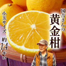 楽天市場 糖度 度 みかん 品種 みかん 黄金柑 フルーツ 果物 食品 の通販