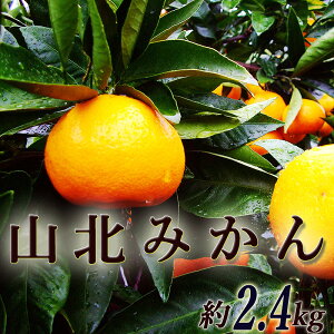 Rk݂ 2.4L ƒp  mY RkY MLTCY Â x Z ~J  B݂ ݂ r^~C N  Mtg v[g