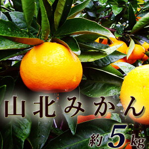 Rk݂ 5L ƒp  mY RkY MLTCY Â x Z ~J  B݂ ݂ r^~C N  Mtg v[g