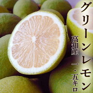 グリーンレモン 1.5kg 高知産 送料無料 ご家庭用 ノーワックス 青切りレモン 檸檬 国産 酸味 爽やかな香…