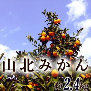 Rk݂ 2.4L p  ϔ mY RkY MLTCY Â x Z ~J  B݂ ݂ r^~C N  Mtg v[g