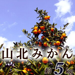 Rk݂ 5L p  ϔ mY RkY MLTCY Â x Z ~J  B݂ ݂ r^~C N  Mtg v[g