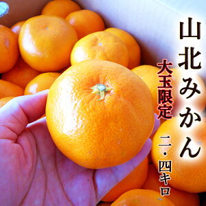 Rk݂ 2.4L ʌ ƒp  L`2LTCY mY RkY Â x Z ~J  B݂ ݂ r^~C N  Mtg v[g