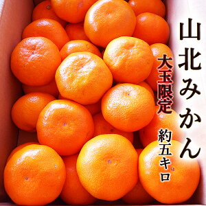 Rk݂ 5L ʌ ƒp  L`2LTCY mY RkY Â x Z ~J  B݂ ݂ r^~C N  Mtg v[g