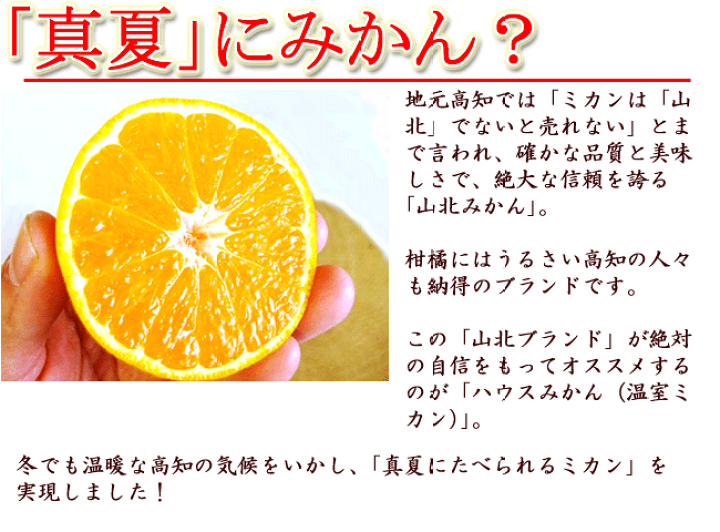 楽天市場】夏のかんきつセット 小セット 送料無料 ご家庭用 小夏