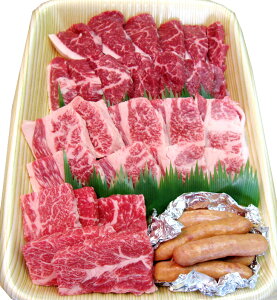 y ya [XEJrȄēZbg wagyu yԋ a  Js ē Xe[L Ԃ  Mtg v[g  Yn  j(MM)(100016)
