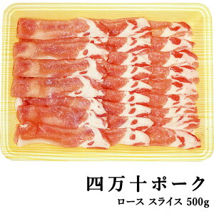 l\|[N E|[N [X XCX 500g mY ؓ |[N ē Xe[L Ԃ  Mtg v[g  Yn  j(200021)yCool deliveryz