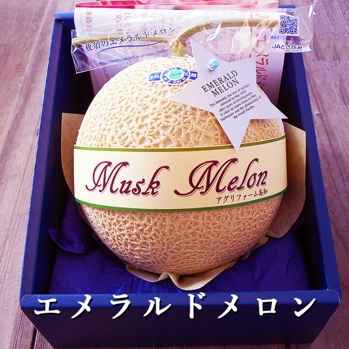 楽天市場】エメラルドメロン 高級マスクメロン 隔離栽培 約1.3kg 1玉  
