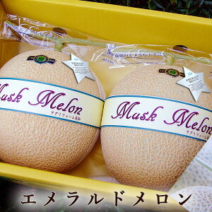 Gh }XN u͔| 1.3kg×2ʃZbg ϔ mY  Mtg v[g Yn ō j oYj j j Ԃ p