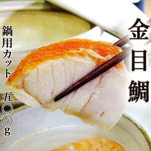 L_C pJbg 500g Et ڑ L_q j[W[hY L   ݂`