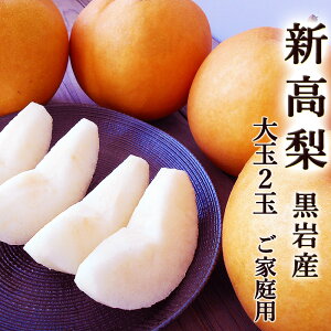 V Y ɂȂ 2ʃZbg  800g/1 mY 쒬 ƒp ʌ Yn Y ʏ`Ղ Â x  iV َq Mtg v[g R|[g