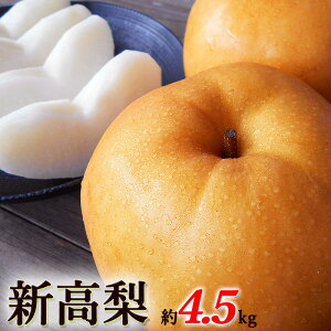 V ɂȂ ʌ 4.5kg 5`6ʓ 800g/1 mY͕Y͑啪Y ƒp  Yn Y ʏ`Ղ Â x  iV َq Mtg v[g 