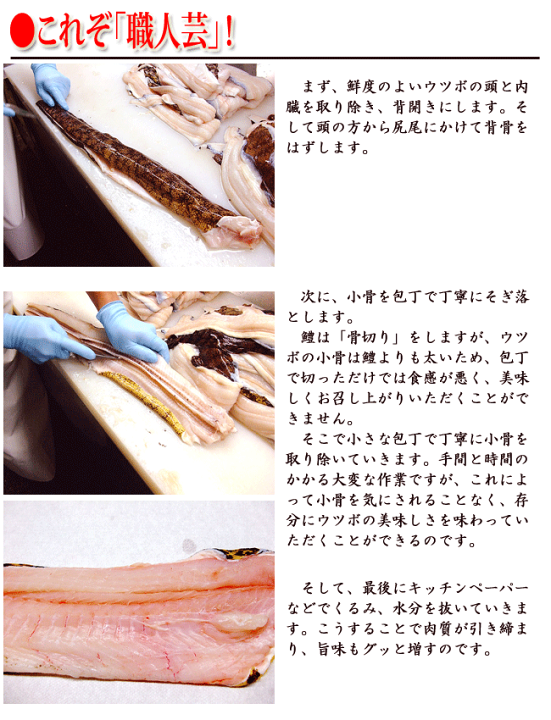 楽天市場】生ウツボ フィーレ 約1キロ 国産 高知で加工 加熱用 骨取り 土佐 うつぼ オツボ ヘンミ ヘンピ ナマダ 唐揚げ 天ぷら 煮凝り 炊き込みごはん 佃煮 小明石煮 海のギャング ゼラチン質 コラーゲン スタミナ : アグリファーム高知 楽天市場】生ウツボ フィーレ 約1キロ 国産 高知で加工 加熱用 骨取り 土佐 うつぼ オツボ ヘンミ ヘンピ ナマダ 唐揚げ 天ぷら 煮凝り 炊き込みごはん 佃煮 小明石煮 海のギャング ゼラチン質 コラーゲン スタミナ : アグリファーム高知