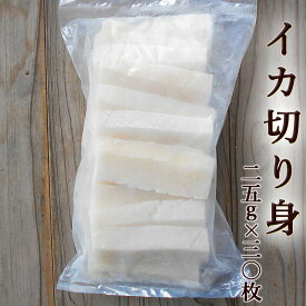 イカ切り身 25g×30枚 アカイカ 加熱用 業務用 いか 烏賊 ムラサキイカ ベニイカ アメリカオオアカイカ 焼き物 天ぷら イカフライ