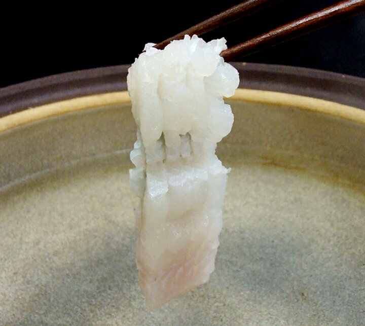 楽天市場 鱧 骨切り はも 約500ｇ 250g 2 フィーレ 高知産又は徳島産 骨切り加工済み 国産 ハモ 歯魚 無漂白 はもちり 落とし 湯引き しゃぶしゃぶ はもすき 唐揚げ 天ぷら 祭鱧 まつりはも ギフト プレゼント お中元 アグリファーム高知