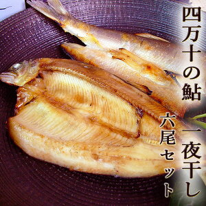 l\̈  銱 6 l\Y ቖdグ Y ̈銱 A {B l\ g VՂ Mtg v[g  ΕyCool deliveryz