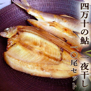 l\̈  銱 10 l\Y ቖdグ Y ̈銱 A {B l\ g VՂ Mtg v[g  Ε