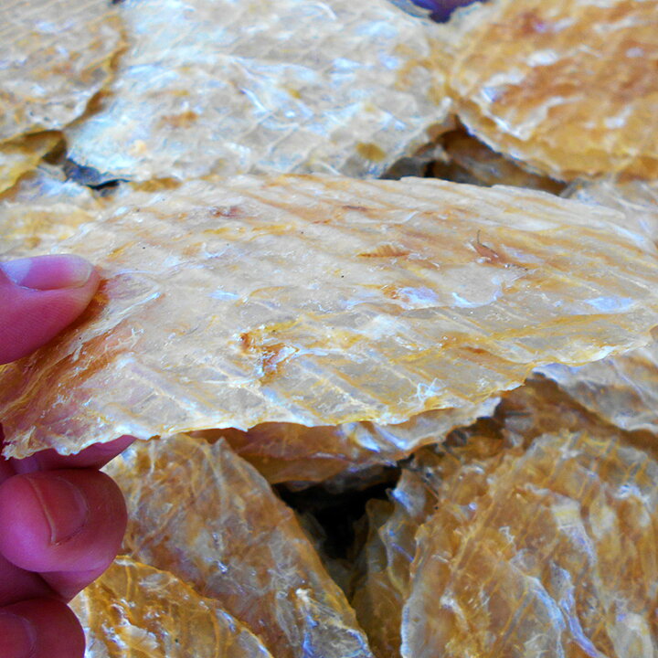 最大53 オフ カワハギのみりん干し 500g 皮はぎ かわはぎ 味りん干し 炙り ハゲ ハギ マルハゲ カワハゲ 干物 酒の肴 珍味