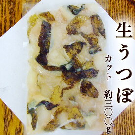 楽天市場 高知 うつぼの通販 楽天市場 高知 うつぼの通販