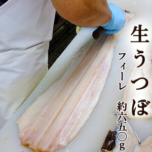魚介類 うつぼ 高知の人気商品 通販 価格比較 価格 Com