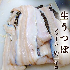 楽天市場 ウツボ 骨の通販