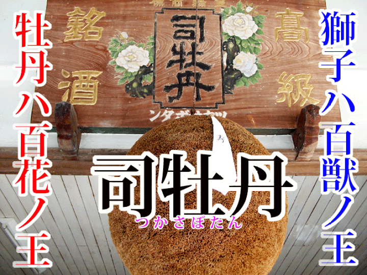 楽天市場】マキノジン 700ml クラフトジン 牧野富太郎博士 楽天市場】マキノジン 700ml クラフトジン 牧野富太郎博士