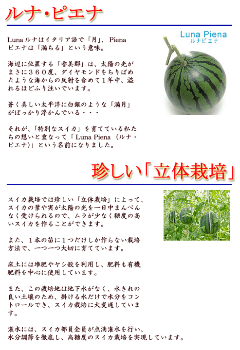 高知県産【夜須のルナピエナ】高糖度12度以上、甘くてシャリシャリ食感 小玉 2玉 楽天市場】高知県産 夜須 ルナ・ピエナ（Luna Piena ） ルナピエナ