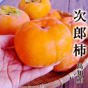 Y` 낤 2L mY 6`12 ƒp GiN ` JL Y` Ê` Mtg v[g Y Yn j j Ԃ p