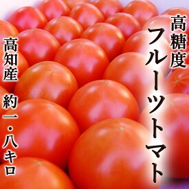 高糖度フルーツトマト 約1.8kg 高知県夜須町産 ご家庭用 送料無料 高糖度 糖度8度以上 中玉トマト 高級 ギフト プレゼント 産地直送 甘い 国産 ジュース ゼリー【Cool delivery】