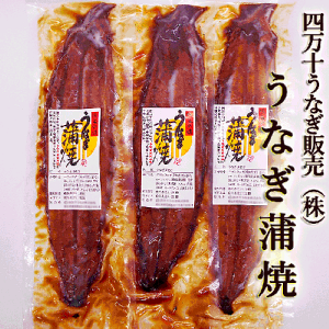 l\Ȃij Ȃ 150g×3  ^ER TCY mY Ȃ ʔ YȂ  V̊ Ă Ȃ Ⓚ Mtg YVXEiMgp ^ 