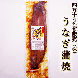 四万十うなぎ（株） うなぎ蒲焼 約150g タレ・山椒つき 特大サイズ 高知産 うなぎ ウナギ 鰻 蒲焼き 国産 四万十川 秘伝のタレ 土用丑の日 ギフト お歳暮 お中元