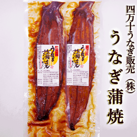 龍宮のしほ　食塩　天日塩 200g 10袋 龍宮のしほ 食塩 天日塩 200g 10袋 天日塩 塩 国産 室戸海洋深層