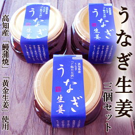 《10％OFF》うなぎ生姜 80g×3個セット 高知産鰻と高知産黄金生姜使用 ご飯のお供、酒の肴に ギフト 高知産 うなぎ ウナギ 鰻 蒲焼き 国産 土用丑の日 敬老の日 ギフト プレゼント 内祝い お返し 誕生日 お歳暮 お中元