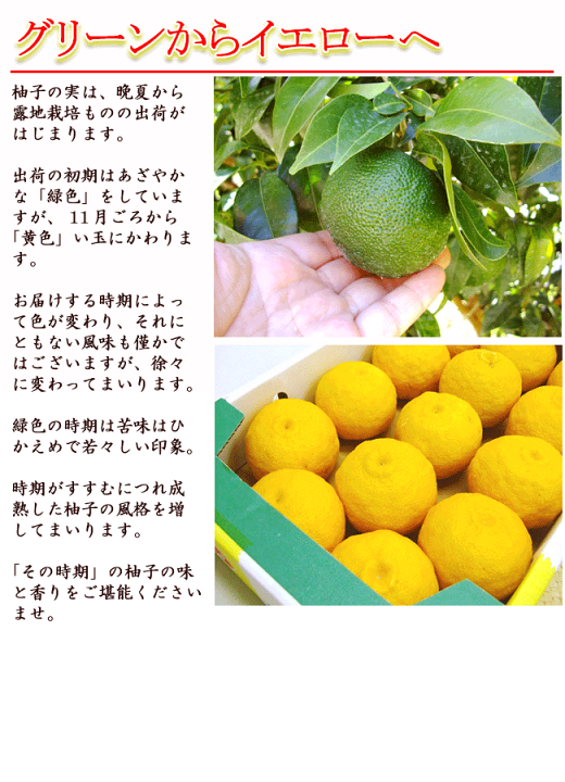 高知県産100％ゆず果汁18.5kg – 大豊グループ