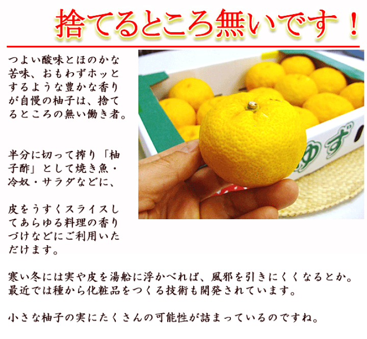 楽天市場】ゆず 柚子 1kg 高知産 ご家庭用 キズあり ユズ 柚子玉 送料